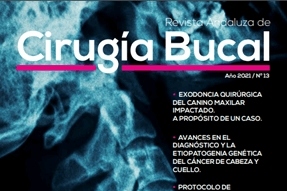 2021-aacib-13-portada-recortada