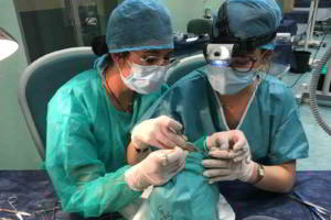 aacib-galeria-012 aacib-galeria-012