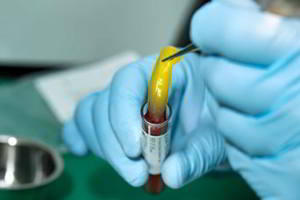 aacib-galeria-015 aacib-galeria-015