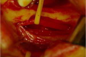 aacib-galeria-018 aacib-galeria-018