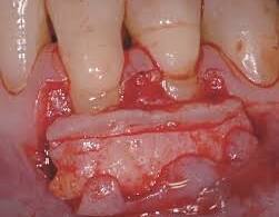 aacib-galeria-020 aacib-galeria-020