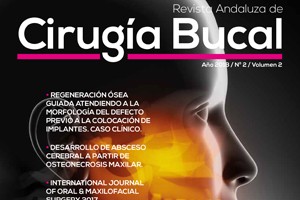 aacib-revista-vol-2