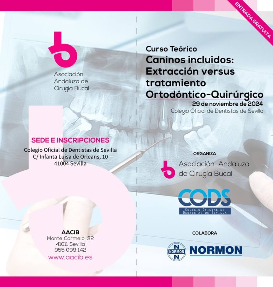 WhatsApp Image 2024-10-18 at 11.28.50