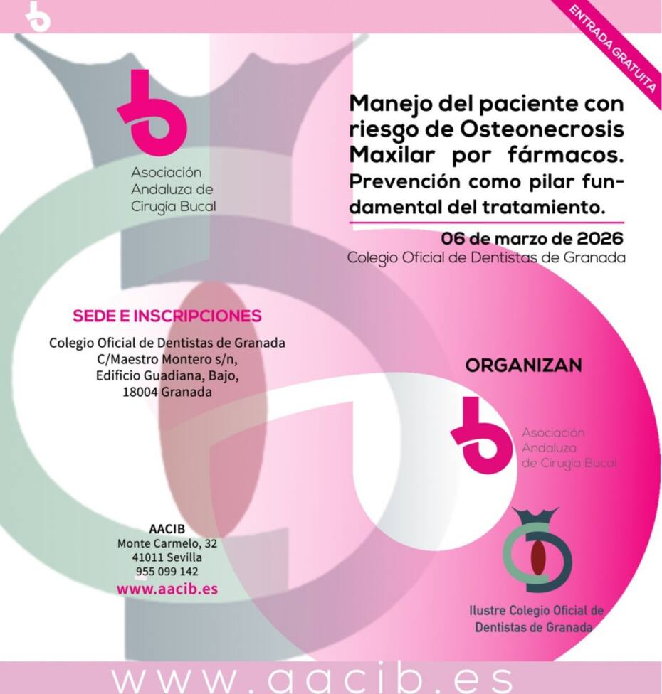 WhatsApp Image 2026-02-16 at 11.56.17