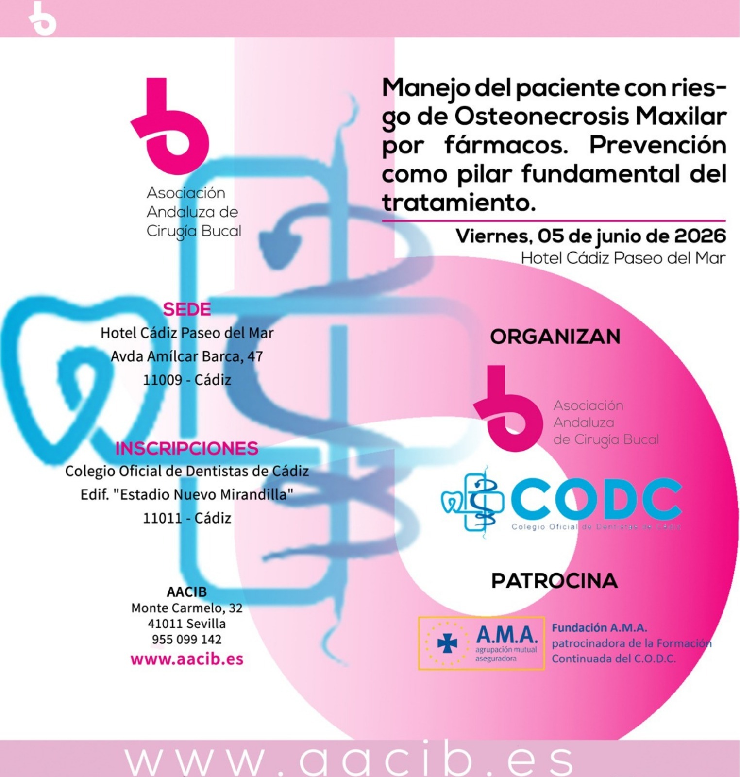 WhatsApp Image 2026-03-30 at 09.55.09 (3)